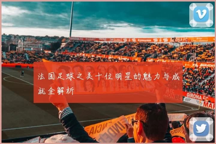 法国足球之美十位明星的魅力与成就全解析