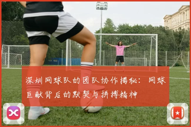 深圳网球队的团队协作揭秘：网球巨献背后的默契与拼搏精神