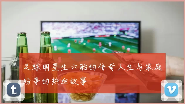 足球明星生六胎的传奇人生与家庭纷争的热血故事