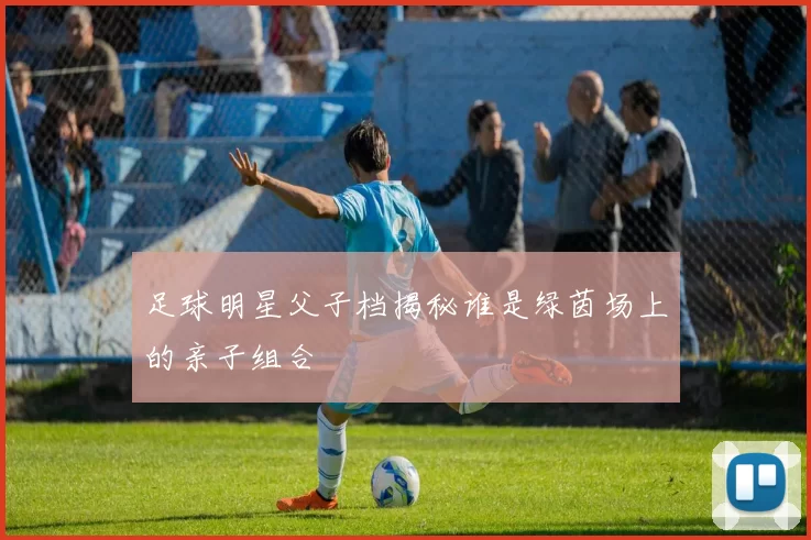 足球明星父子档揭秘谁是绿茵场上的亲子组合