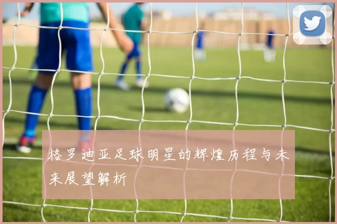 格罗迪亚足球明星的辉煌历程与未来展望解析
