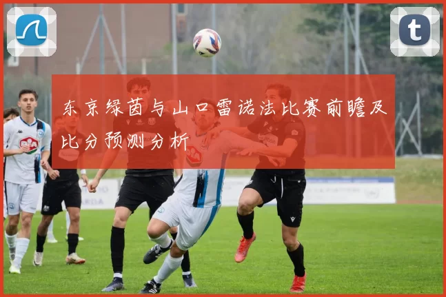 东京绿茵与山口雷诺法比赛前瞻及比分预测分析