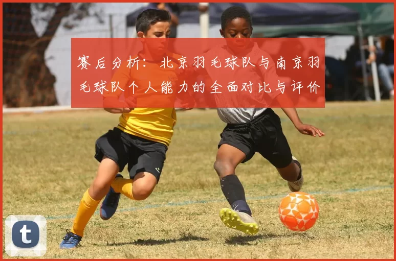 赛后分析：北京羽毛球队与南京羽毛球队个人能力的全面对比与评价