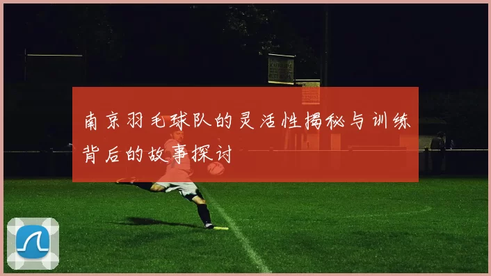 南京羽毛球队的灵活性揭秘与训练背后的故事探讨