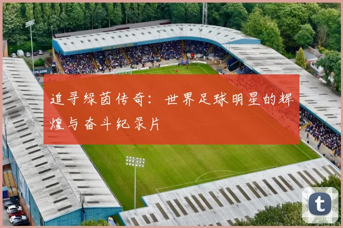 追寻绿茵传奇：世界足球明星的辉煌与奋斗纪录片