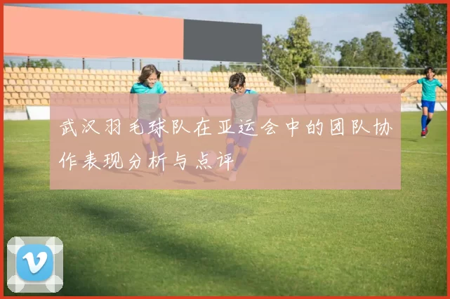 武汉羽毛球队在亚运会中的团队协作表现分析与点评