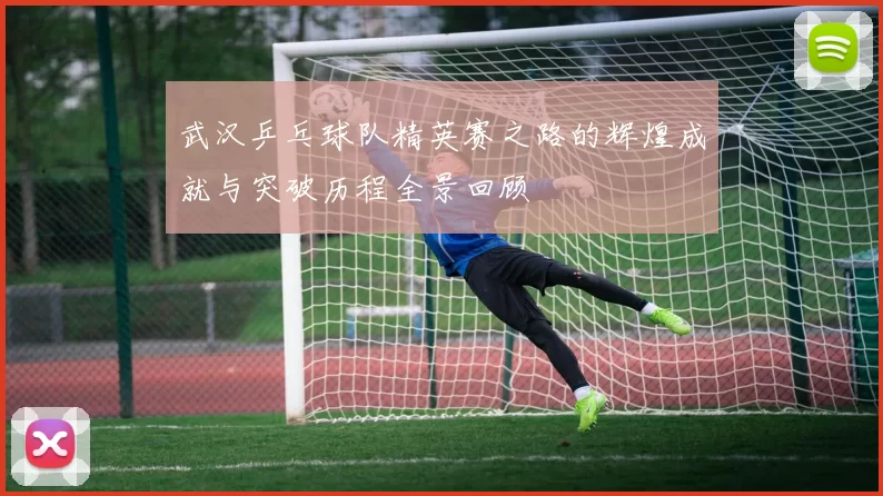 武汉乒乓球队精英赛之路的辉煌成就与突破历程全景回顾