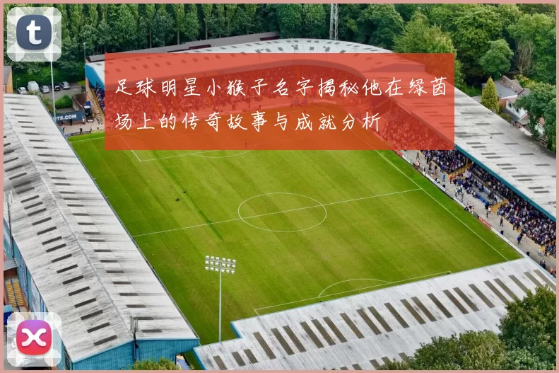 足球明星小猴子名字揭秘他在绿茵场上的传奇故事与成就分析